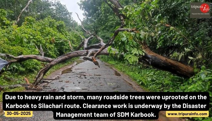 Due to heavy rain and storm, many roadside trees were uprooted on the Karbook to Silachari route. Clearance work is underway by the Disaster Management team of SDM Karbook.
