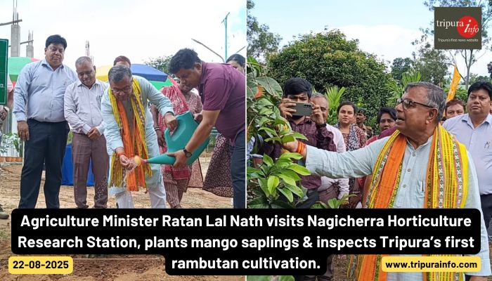 Agriculture Minister Ratan Lal Nath visits Nagicherra Horticulture Research Station, plants mango saplings & inspects Tripura’s first rambutan cultivation.
