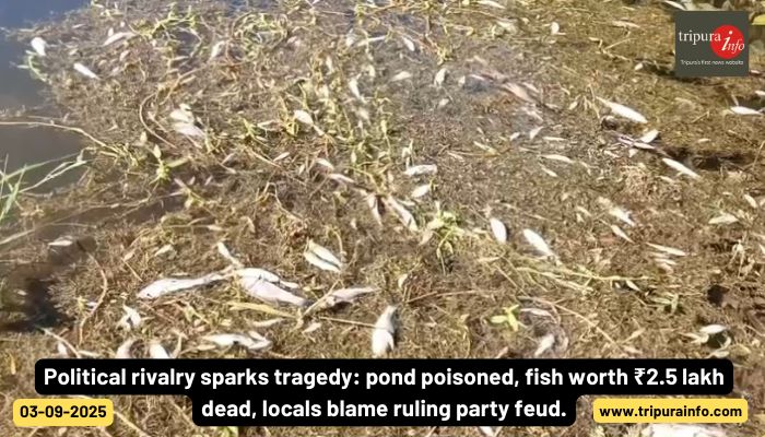 Political rivalry sparks tragedy: pond poisoned, fish worth ₹2.5 lakh dead, locals blame ruling party feud.
