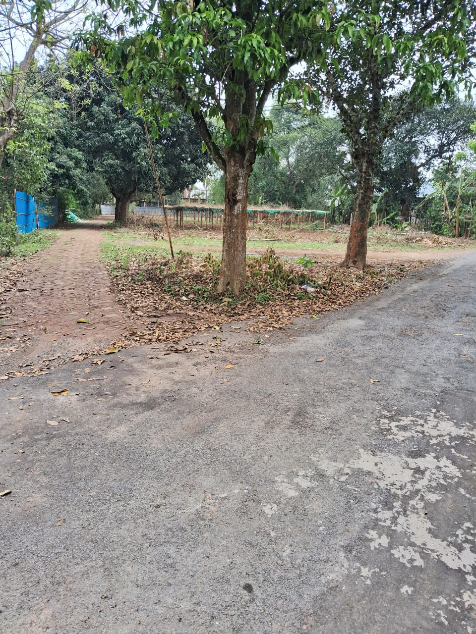 Welcome to Tripura Property Sale / Purchase / Rental Services