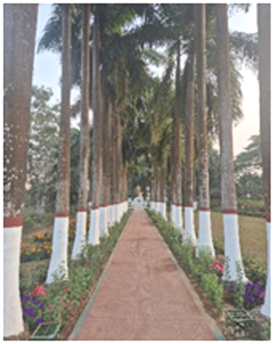 Innovations for Urban landscape Management- Tripura shows the way