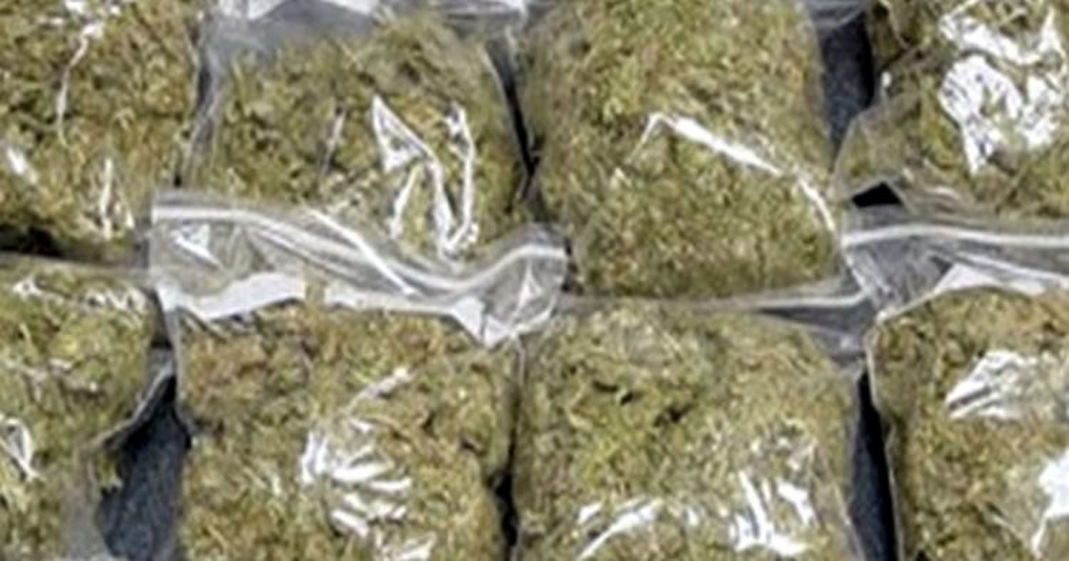 ‘Ganja’ consignment worth Rs 25 lakhs in black market seized by police in Ambassa