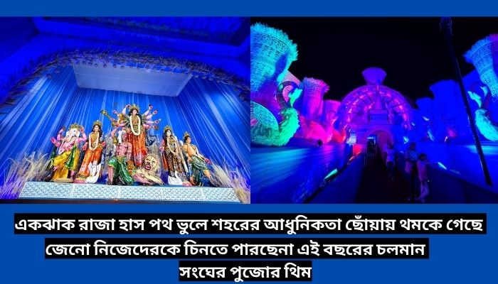 একঝাক রাজা হাস পথ ভুলে শহরের আধুনিকতা ছোঁয়ায় থমকে গেছে জেনো নিজেদেরকে চিনতে পারছেনা এই বছরের চলমান সংঘের পুজোর থিম